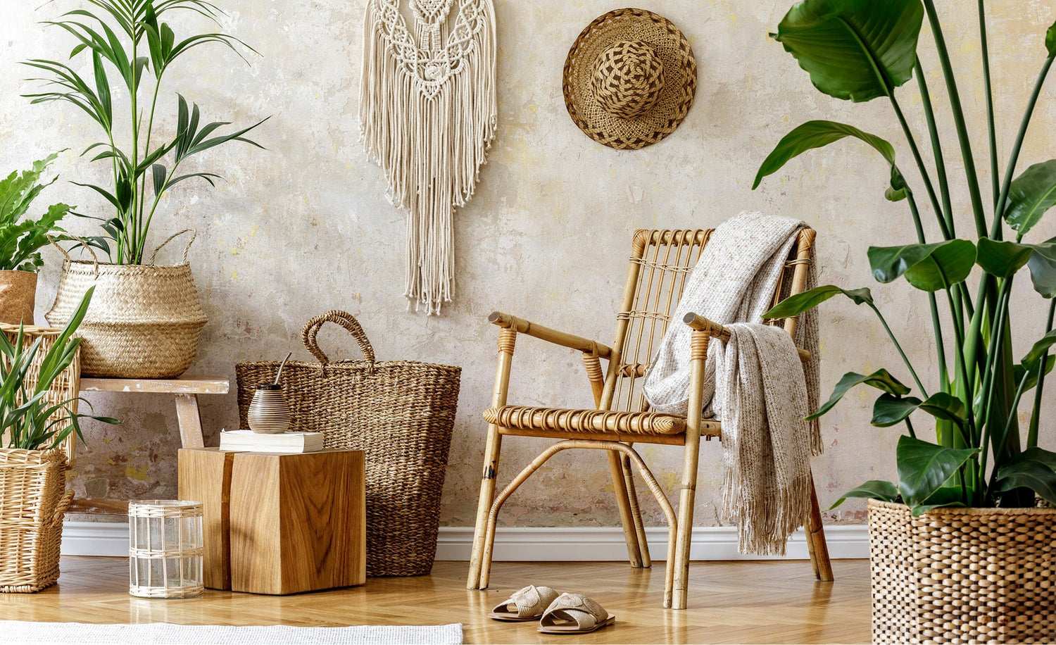 Home and Kitchen Improvement